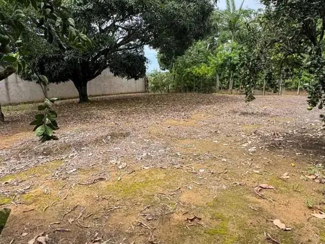 Terreno / Lote para Venda em Serra/ES Cidade Nova da Serra