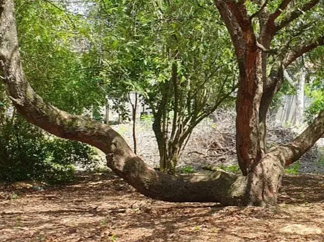 Terreno / Lote para Venda em Serra/ES das Laranjeiras
