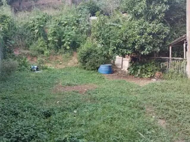 Terreno / Lote para Venda em Serra/ES Jardim Tropical
