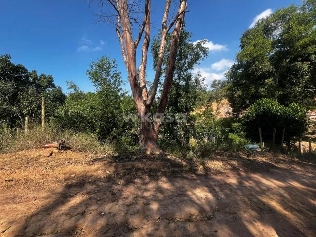Terreno / Lote para Venda em Serra/ES Porto Dourado