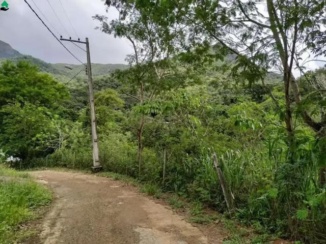 Terreno / Lote para Venda em Serra/ES Santo Antônio
