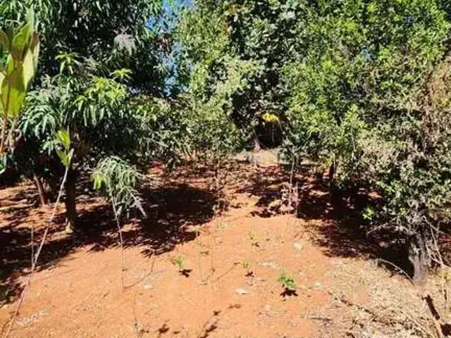 Terreno / Lote para Venda em Sete Lagoas/MG Nossa Senhora do Carmo II