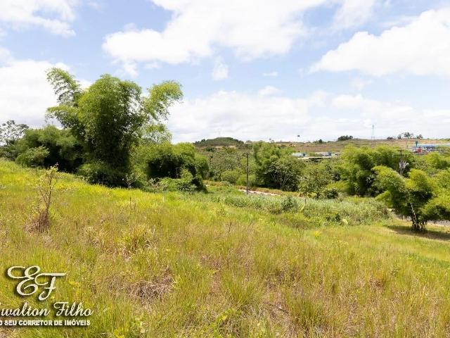 Terreno / Lote para Venda em Simões Filho/BA Centro