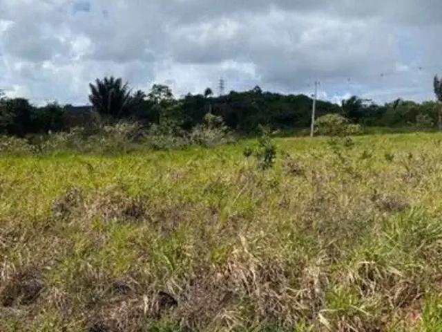 Terreno / Lote para Venda em Simões Filho/BA CIA Sul