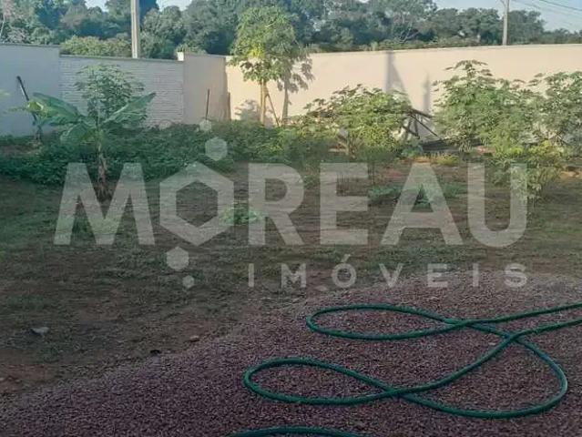 Terreno / Lote para Venda em Sinop/MT Jardim Dubai