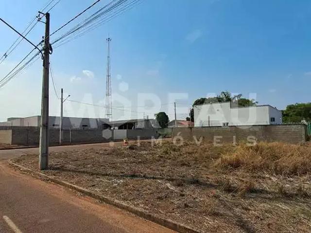 Terreno / Lote para Venda em Sinop/MT Jardim Dubai