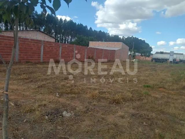 Terreno / Lote para Venda em Sinop/MT Loteamento Cidade Alta