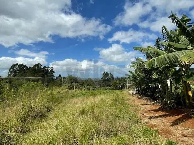 Terreno / Lote para Venda em Siderópolis/SC Santa Luzia