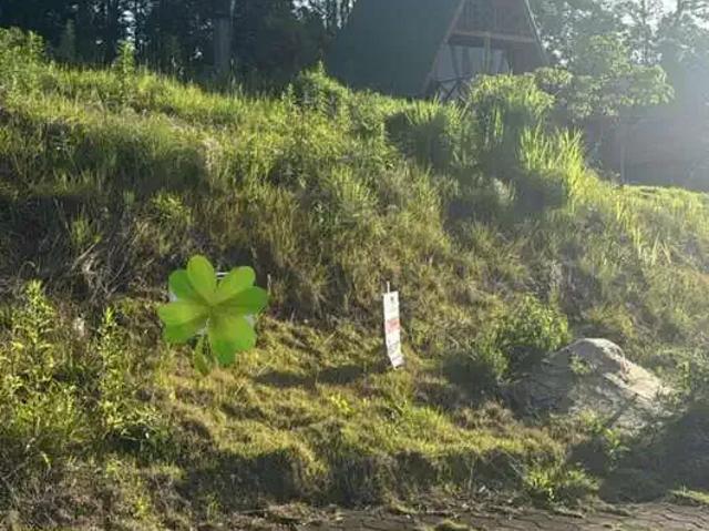 Terreno / Lote para Venda em Siderópolis/SC Santa Luzia