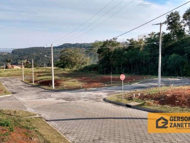 Terreno / Lote para Venda em Siderópolis/SC Santa Luzia