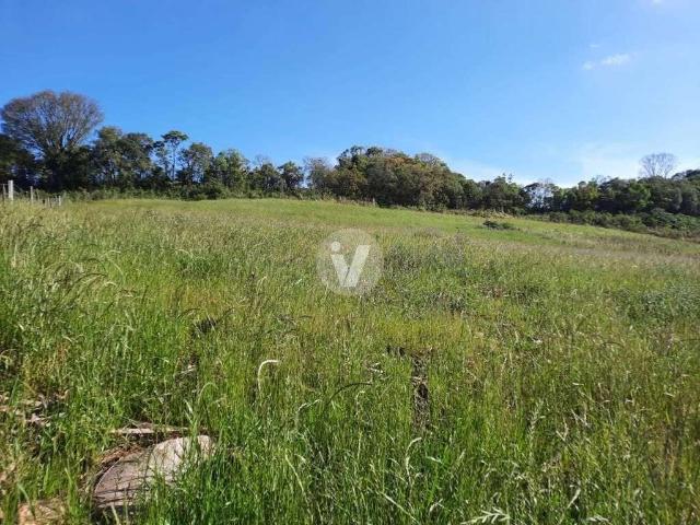 Terreno / Lote para Venda em Silveira Martins/RS Centro