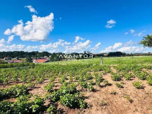 Terreno / Lote para Venda em Silveira Martins/RS Centro