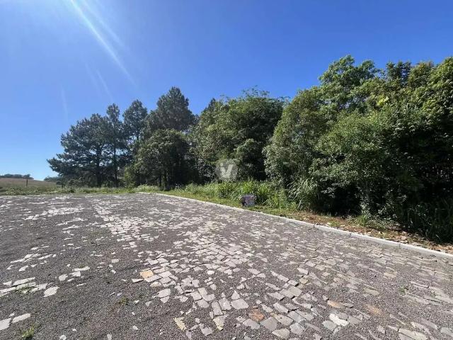Terreno / Lote para Venda em Silveira Martins/RS Vila Catani