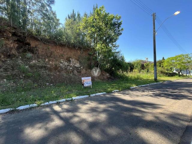 Terreno / Lote para Venda em Silveira Martins/RS Vila Catani