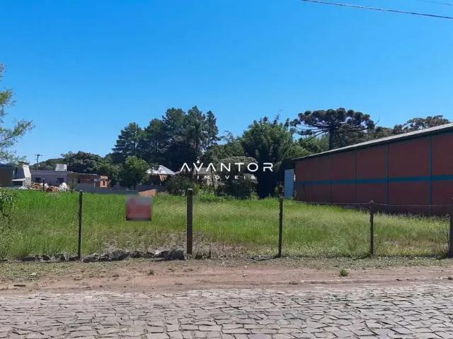 Terreno / Lote para Venda em Silveira Martins/RS Vila Catani 4 Quartos