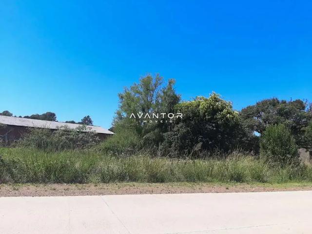 Terreno / Lote para Venda em Silveira Martins/RS Vila Catani 4 Quartos