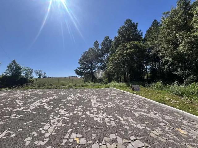 Terreno / Lote para Venda em Silveira Martins/RS Vila Catani