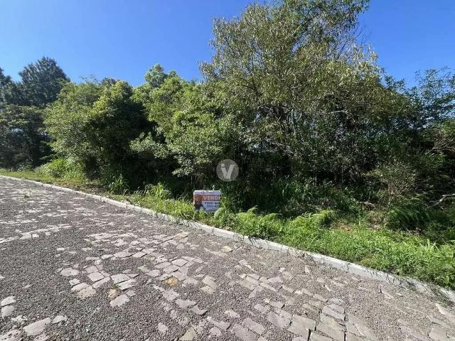 Terreno / Lote para Venda em Silveira Martins/RS Vila Catani