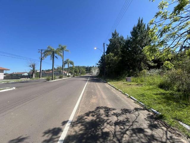 Terreno / Lote para Venda em Silveira Martins/RS Vila Catani