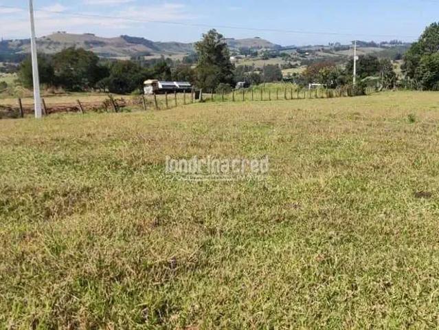 Terreno / Lote para Venda em Siqueira Campos/PR Zona Rural