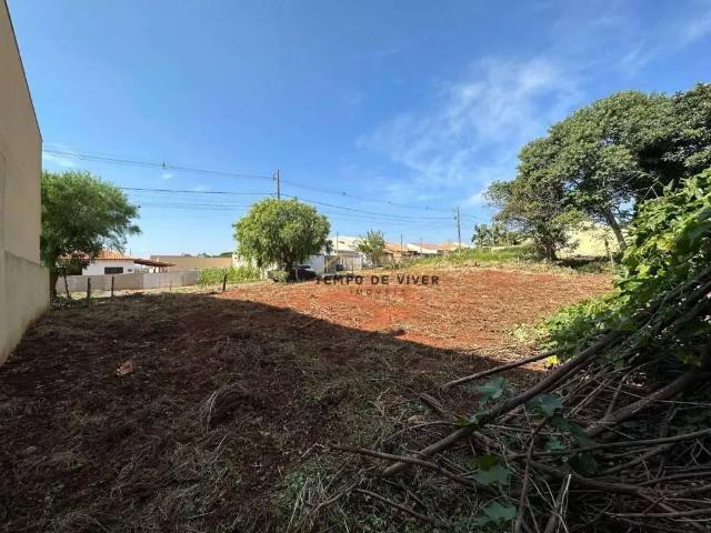 Terreno / Lote para Venda em Siqueira Campos/PR Bom Jesus