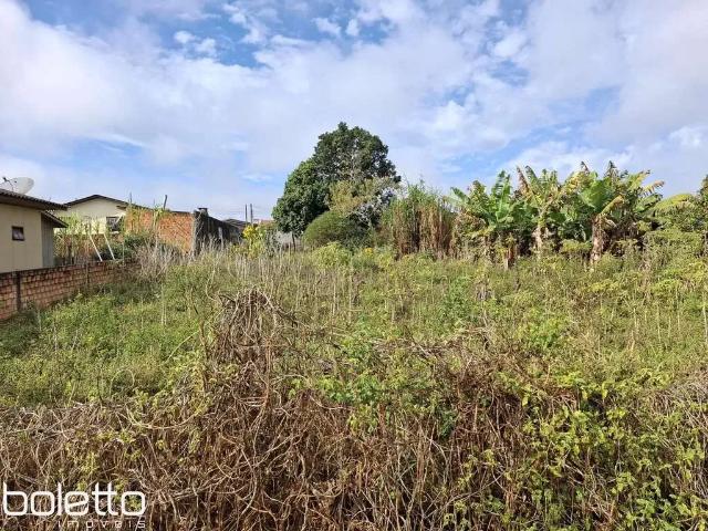 Terreno / Lote para Venda em Sombrio/SC Nova Brasília