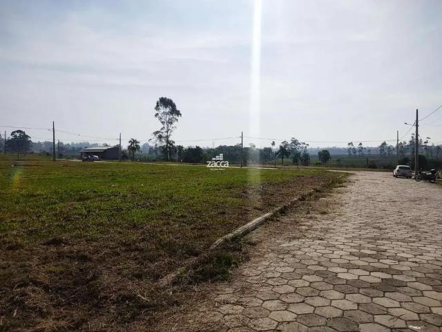 Terreno / Lote para Venda em Sombrio/SC São Camilo