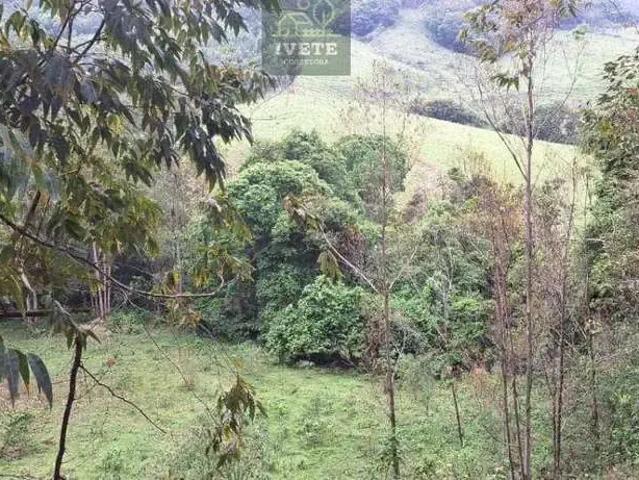 Terreno / Lote para Venda em Socorro/SP Lagoa