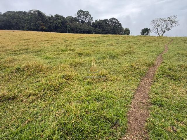 Terreno / Lote para Venda em Socorro/SP Área Rural de Socorro