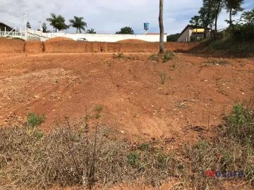 Terreno / Lote para Venda em Socorro/SP Dos Nogueiras