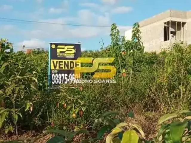 Terreno / Lote para Venda em Solânea/PB Centro