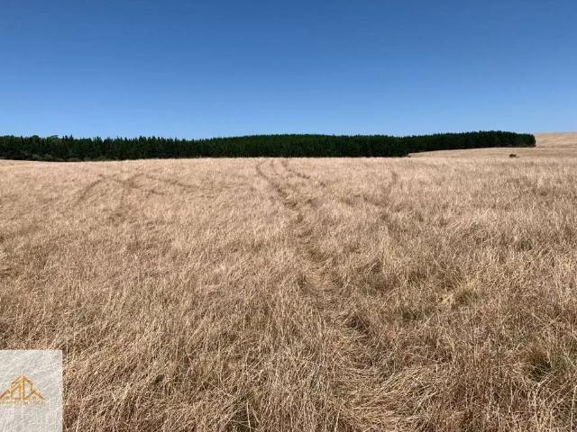 Terreno / Lote para Venda em Soledade/RS Centro