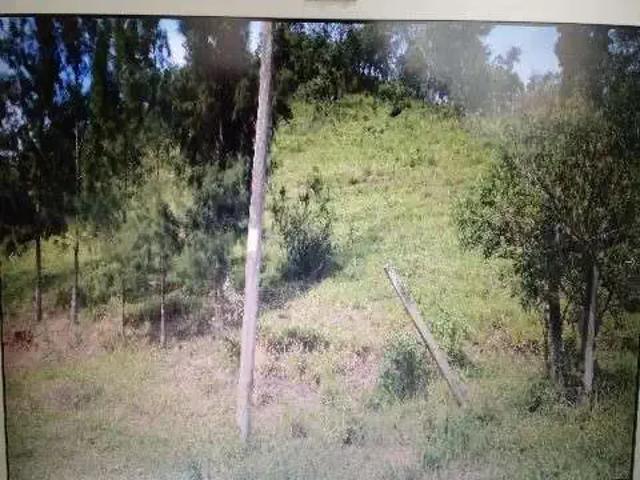 Terreno / Lote para Venda em Sorocaba/SP Morros 1 Quartos