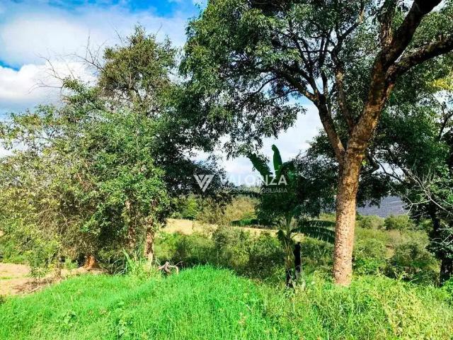 Terreno / Lote para Venda em Sorocaba/SP Aparecidinha