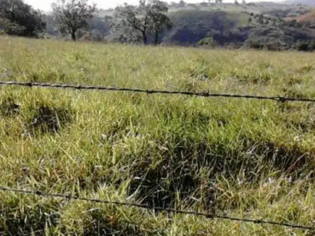 Terreno / Lote para Venda em Sorocaba/SP Caputera