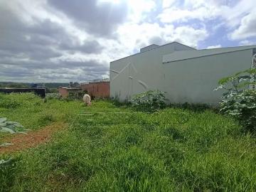 Terreno / Lote para Venda em Sorocaba/SP Jardim Betânia