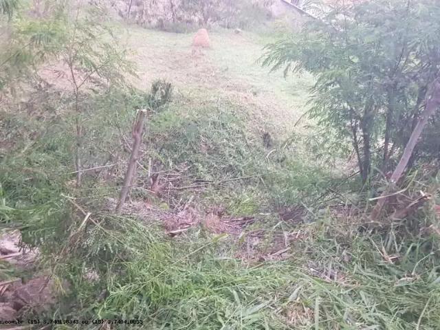 Terreno / Lote para Venda em Sorocaba/SP Jardim Nova Aparecidinha