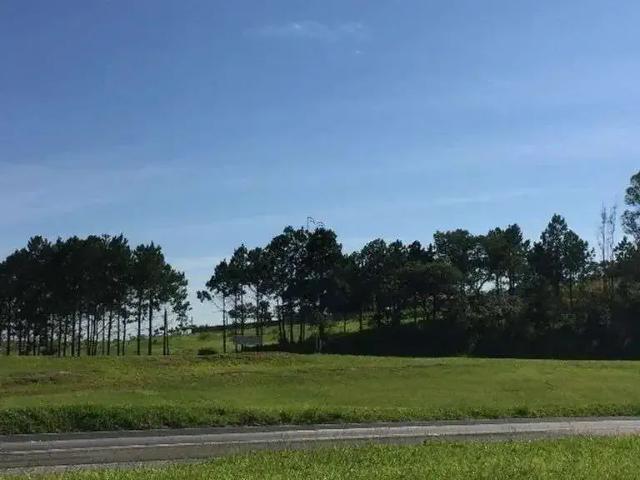 Terreno / Lote para Venda em Sorocaba/SP Vila Artura