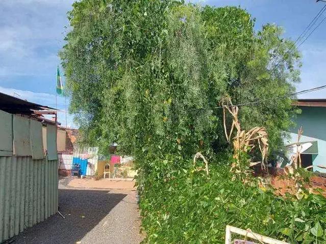 Terreno / Lote para Venda em Sumaré/SP Vila Santa Terezinha