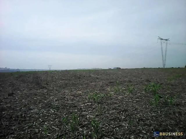 Terreno / Lote para Venda em Sumaré/SP Chácara Cruzeiro do Sul