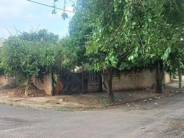 Terreno / Lote para Venda em Sumaré/SP Jardim Maria Antonia Nova Veneza
