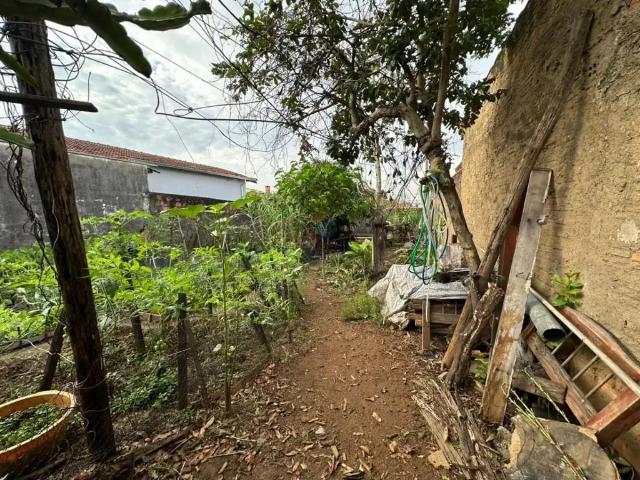 Terreno / Lote para Venda em Sumaré/SP Parque Jatobá Nova Veneza