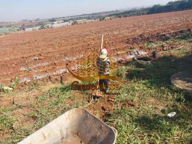 Terreno / Lote para Venda em Sumaré/SP Parque Residencial Florença
