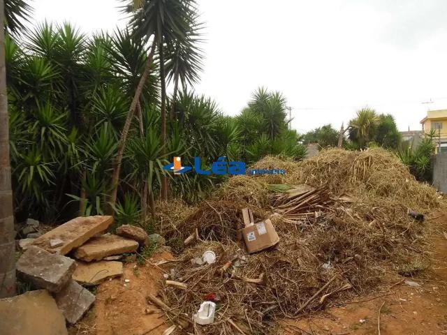 Terreno / Lote para Venda em Suzano/SP Vila Maria de Maggi