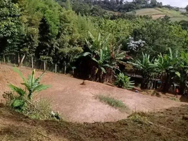 Terreno / Lote para Venda em Suzano/SP Vila Barros