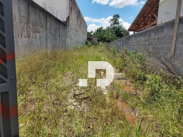 Terreno / Lote para Venda em Suzano/SP Caxangá