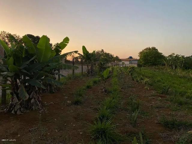 Terreno / Lote para Venda em Suzano/SP Chácara Recreio Internacional