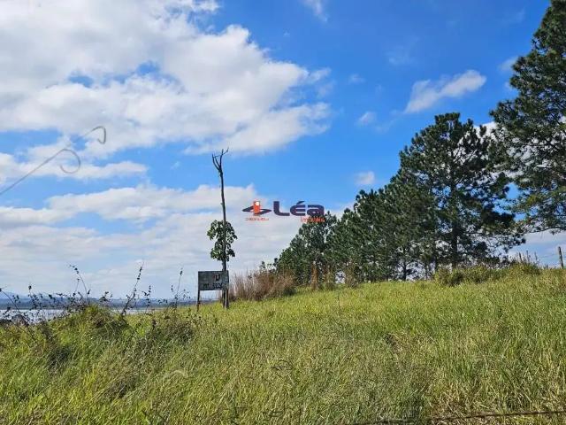 Terreno / Lote para Venda em Suzano/SP Chácaras Ceres