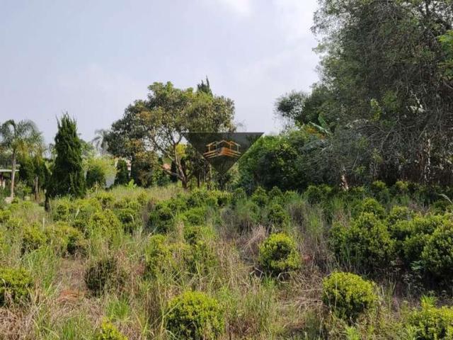 Terreno / Lote para Venda em Suzano/SP Chácaras Duchen