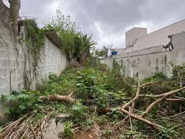 Terreno / Lote para Venda em Suzano/SP Cidade Edson